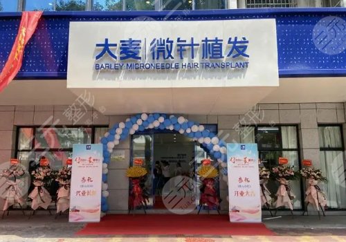 沈陽大麥微針植發(fā)怎么樣？
