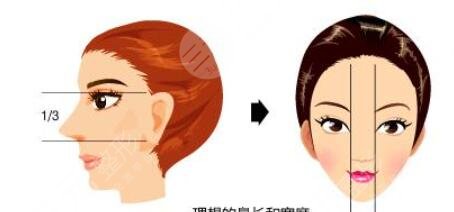 鼻端缺損修復(fù)