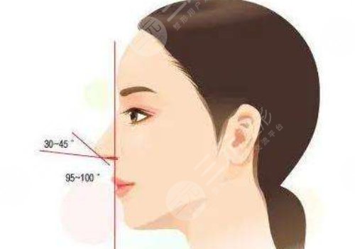 余龍做鼻子好看嗎？