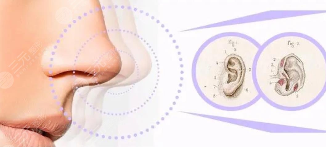 深圳陽(yáng)光醫(yī)院做鼻子怎么樣