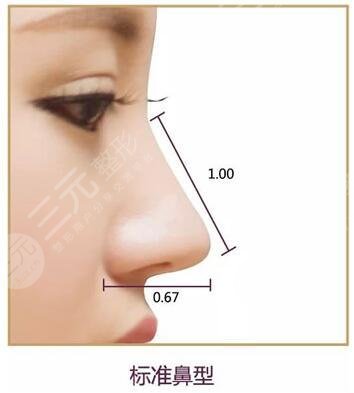 　北京路會醫(yī)生怎么樣?做膨體鼻子多少錢?