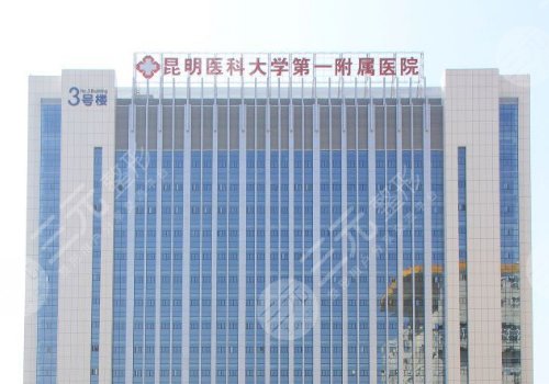 云南假體豐胸哪家醫(yī)院好 