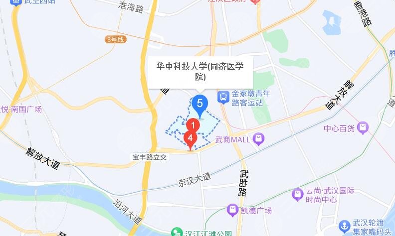 武漢同濟醫(yī)院地址