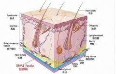 醫(yī)美超聲炮是什么？抗衰實力派！優(yōu)點、價格科普~