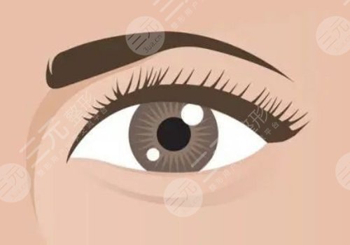 佛山市一杜學(xué)亮