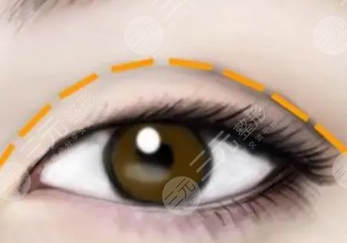 武偉亮個(gè)人資料