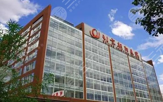 首都醫(yī)科大學附屬北京朝陽醫(yī)院