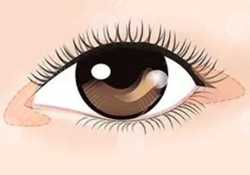 湘西都市儷人醫(yī)院怎么樣