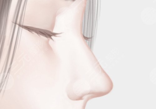 成都八大處做肋骨鼻圖鑒