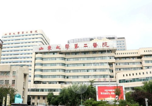 2025濟(jì)南豐胸哪兒效果好