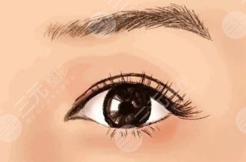 上海伊萊美打臥蠶效果怎么樣