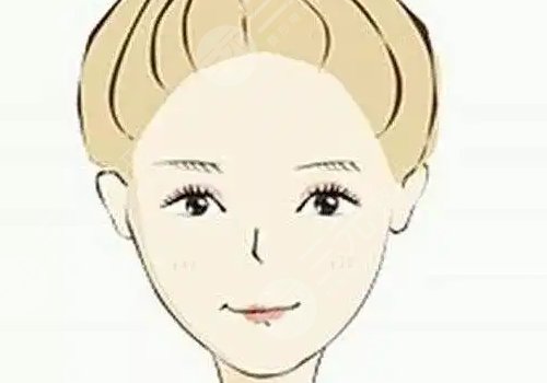 何晉龍和樸興植誰厲害