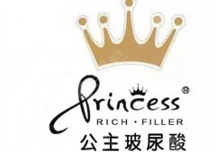 公主玻尿酸和衡力是一個廠家嗎？市場定位與適用人群分享！附選擇建議