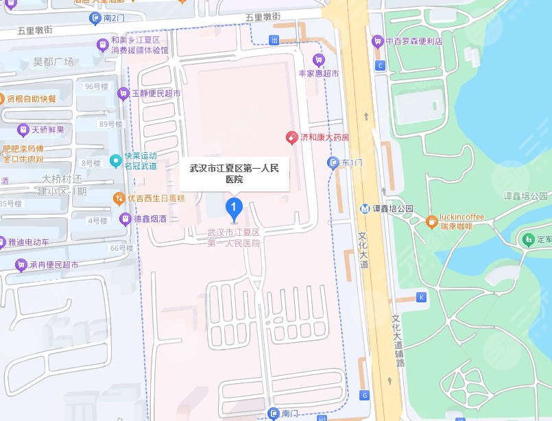 武漢江夏區(qū)第一人民醫(yī)院地址
