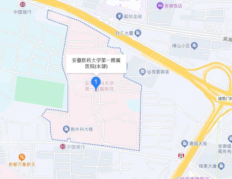 安徽醫(yī)科大學(xué)第一附屬醫(yī)院地址