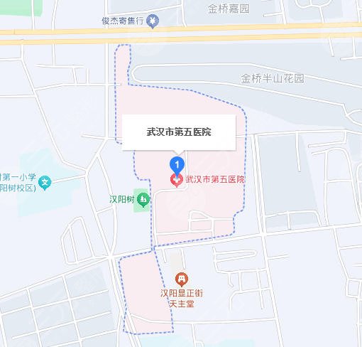 武漢第五醫(yī)院地址