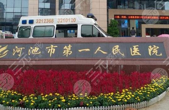 河池市第一人民醫(yī)院醫(yī)學(xué)美容科怎么樣？