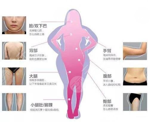 綜合研究女性體形吸引力的量化數(shù)據(jù)