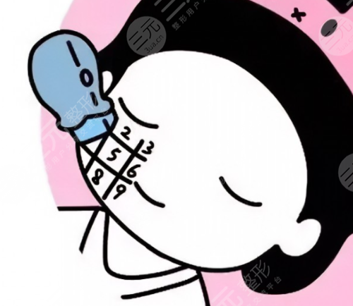 電波l皮多少錢?電波l皮價(jià)格是多少